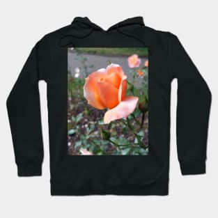 Peach Rosebud Hoodie